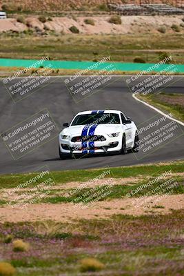 media/Feb-25-2024-Speed Ventures (Sun) [[b9a2a97a4d]]/Mustang Drivers Club/Session 3 (Turn 2)/